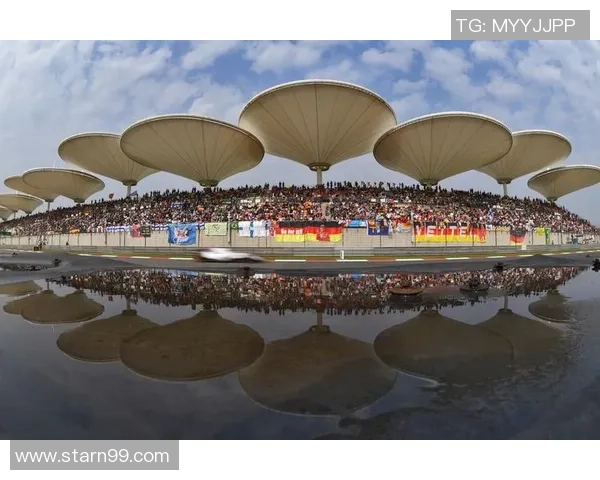 全球体育盛会激发激情凝聚力量引领世界文化交流新风潮