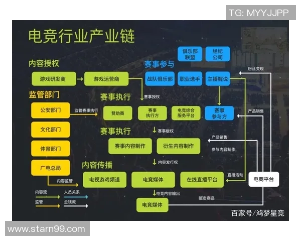电竞产业崛起与发展：从竞技平台到全球文化现象的演变与未来趋势